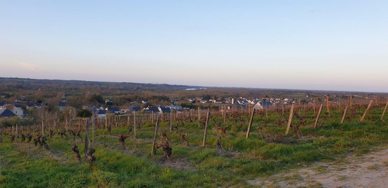 Clos Sainte Catherine Rochefort-sur-Loire Extérieur photo